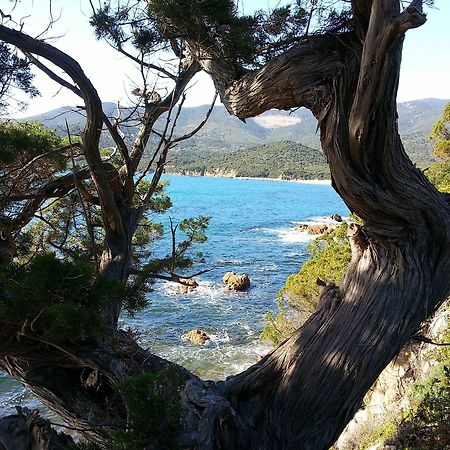 Casa Murina Hotel Ecologique De Charme Serra-di-Ferro  Eksteriør billede