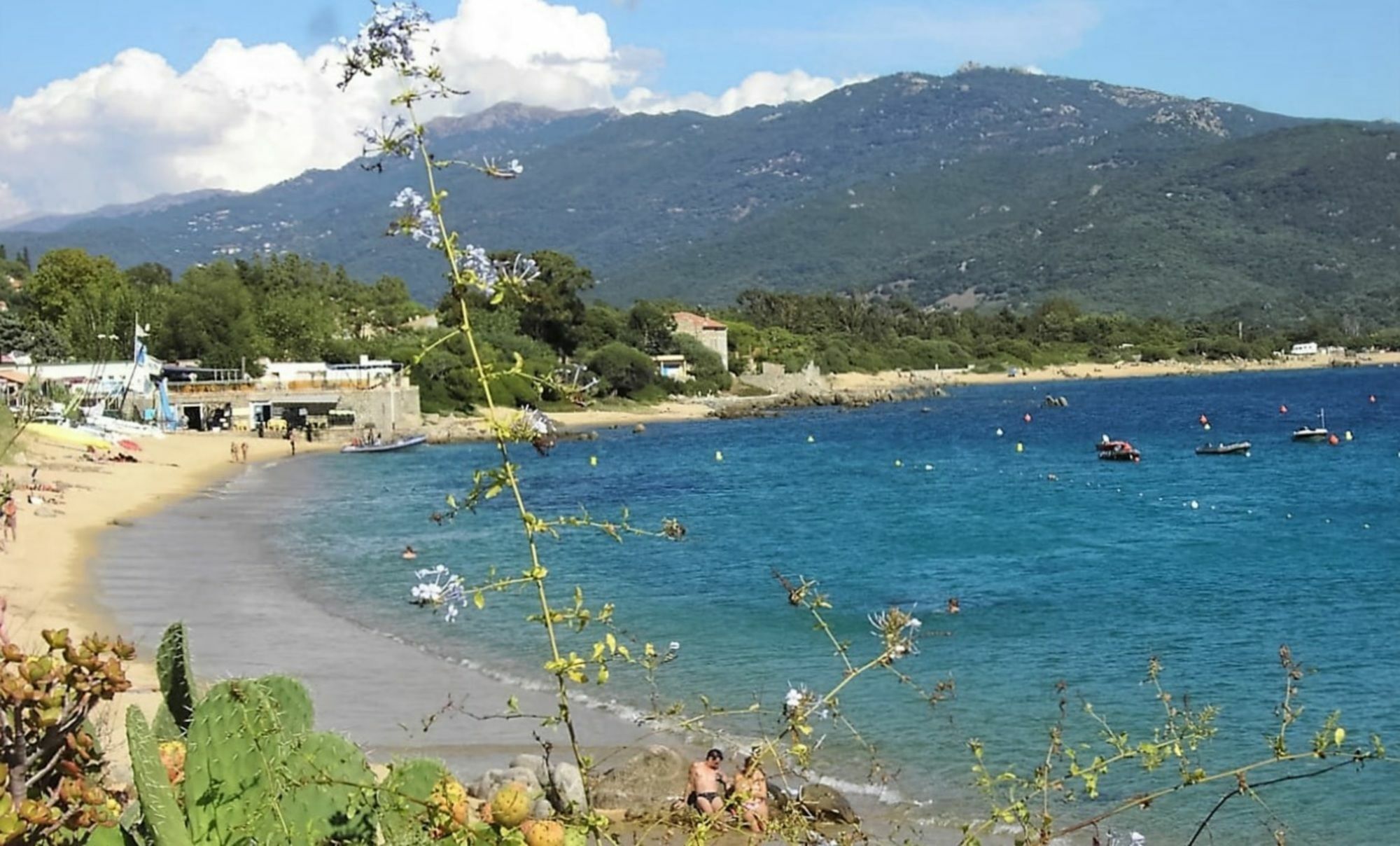 Casa Murina Hotel Ecologique De Charme Serra-di-Ferro  Eksteriør billede